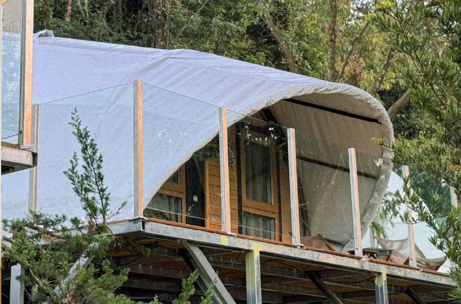 未命名設計 - 2025-12-12T172852.554