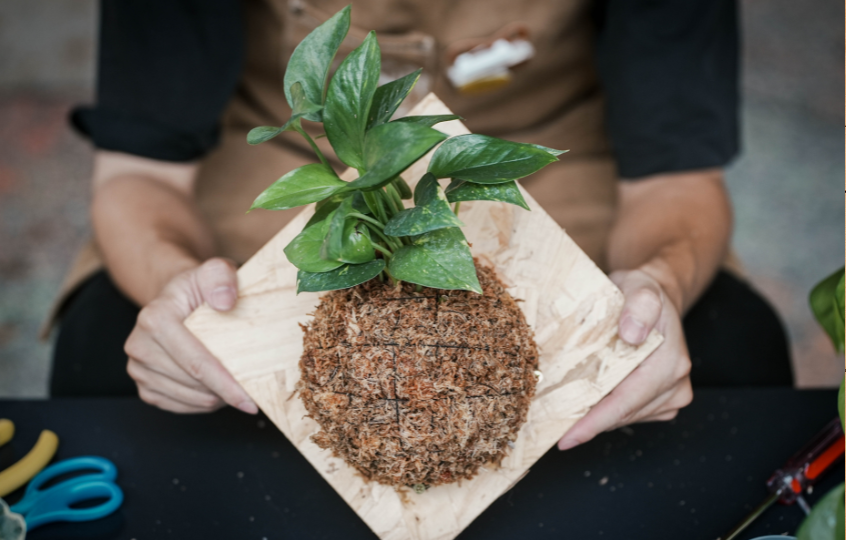 未命名設計 - 2025-12-12T183448.694