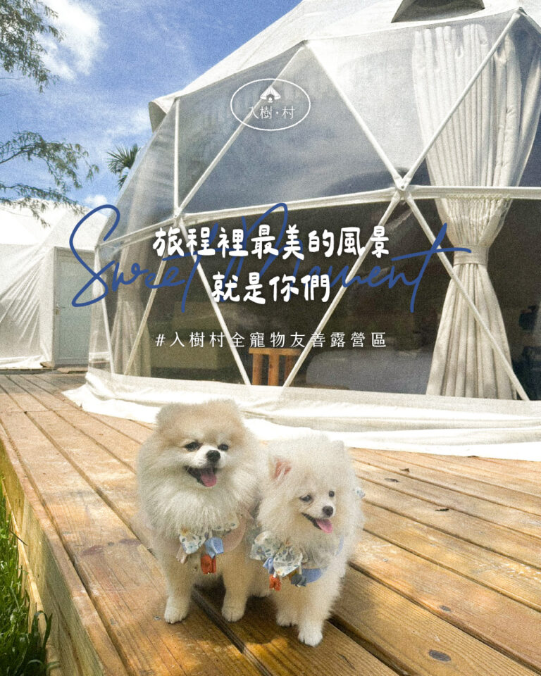 寵物友善懶人露營